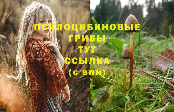 гашиш Баксан