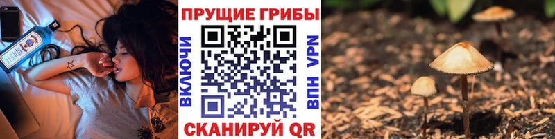 Псилоцибиновые грибы MAGIC MUSHROOMS  blacksprut ссылки  Липки 