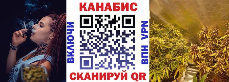 Конопля OG Kush Липки